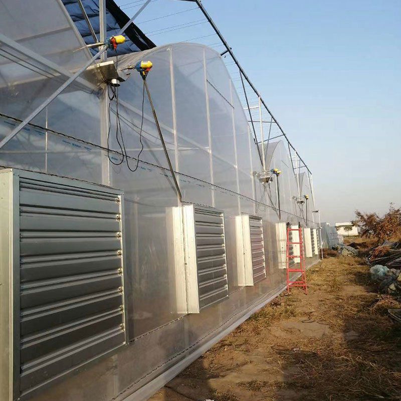 肥西溫室工程